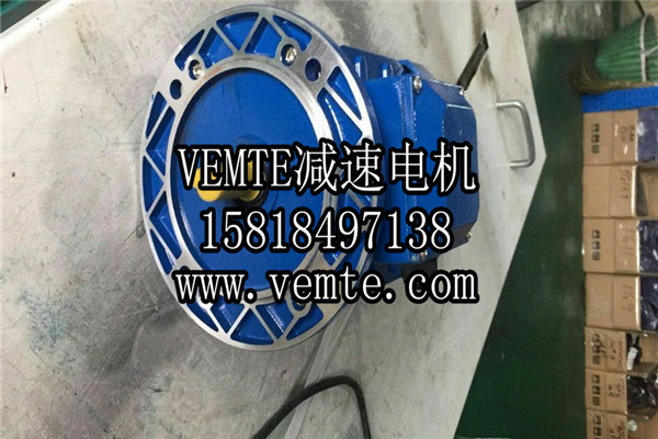 VEMT減速機(jī)電機(jī)制造廠(chǎng)家 (20)